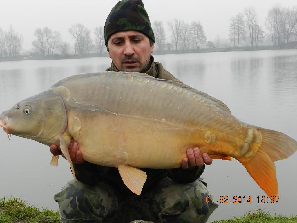 01/02/20014 - dscn1912.JPG